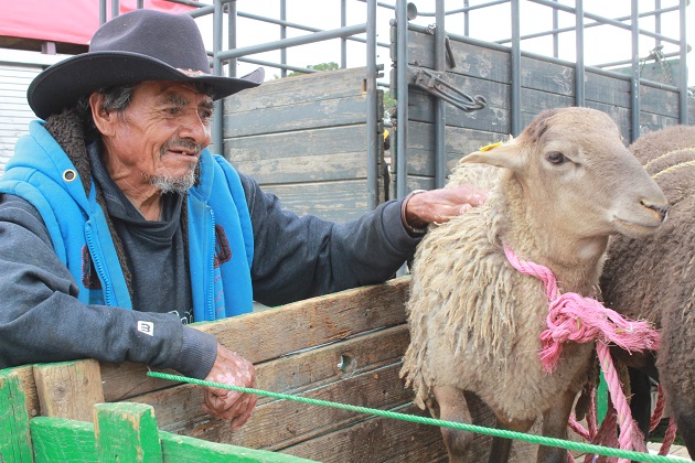 Entregan autoridades ganado ovino a productores de Tetla