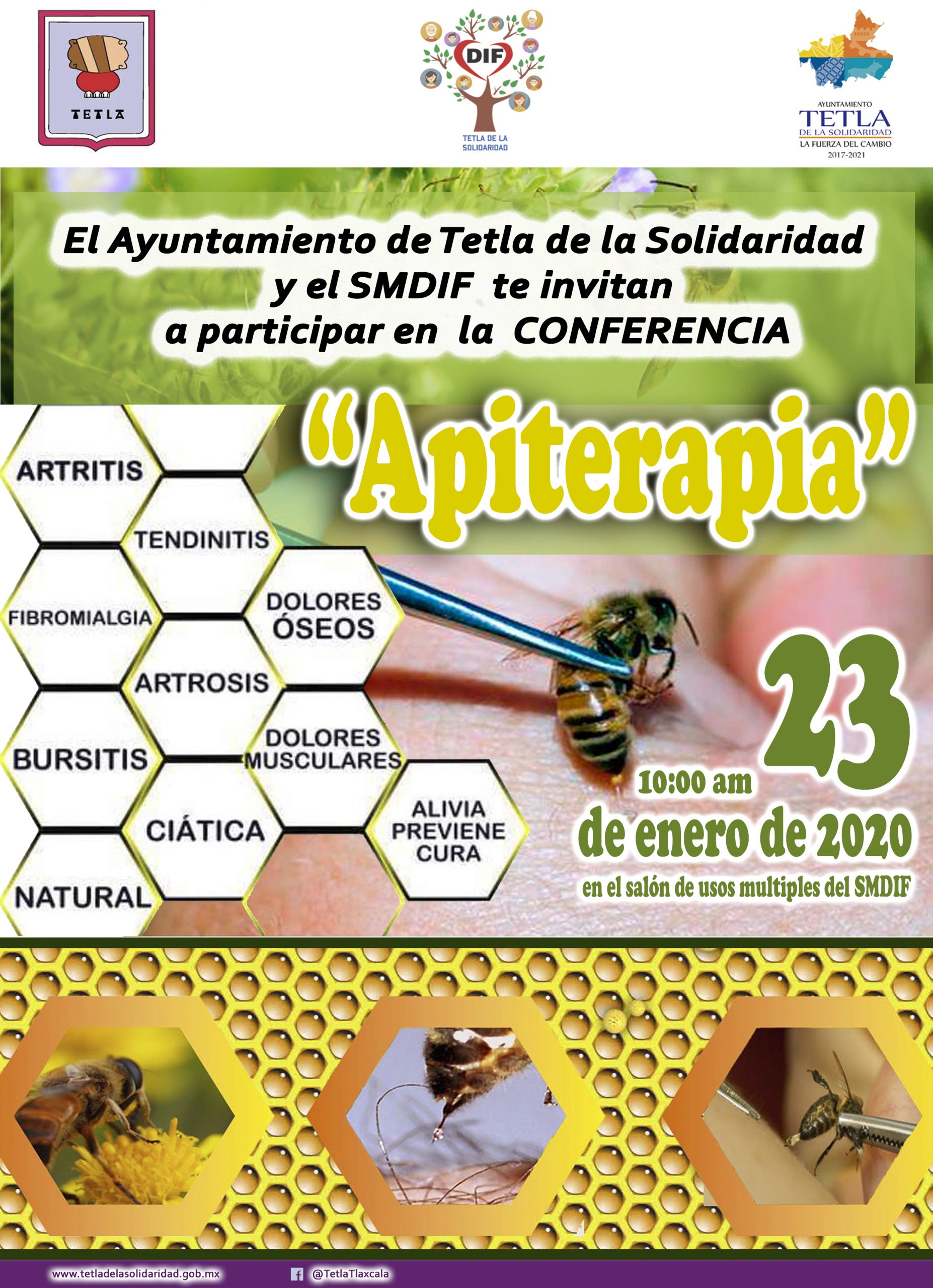 Ofrece DIF de Tetla conferencia de Apiterapia