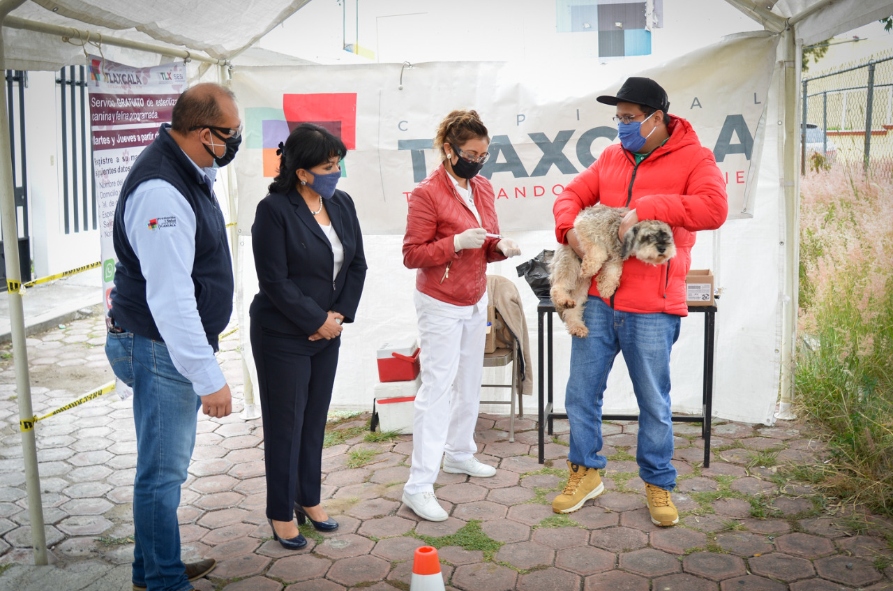 Con éxito comienza Esterilitón Móvil 2020 canino y felino en Ocotlán