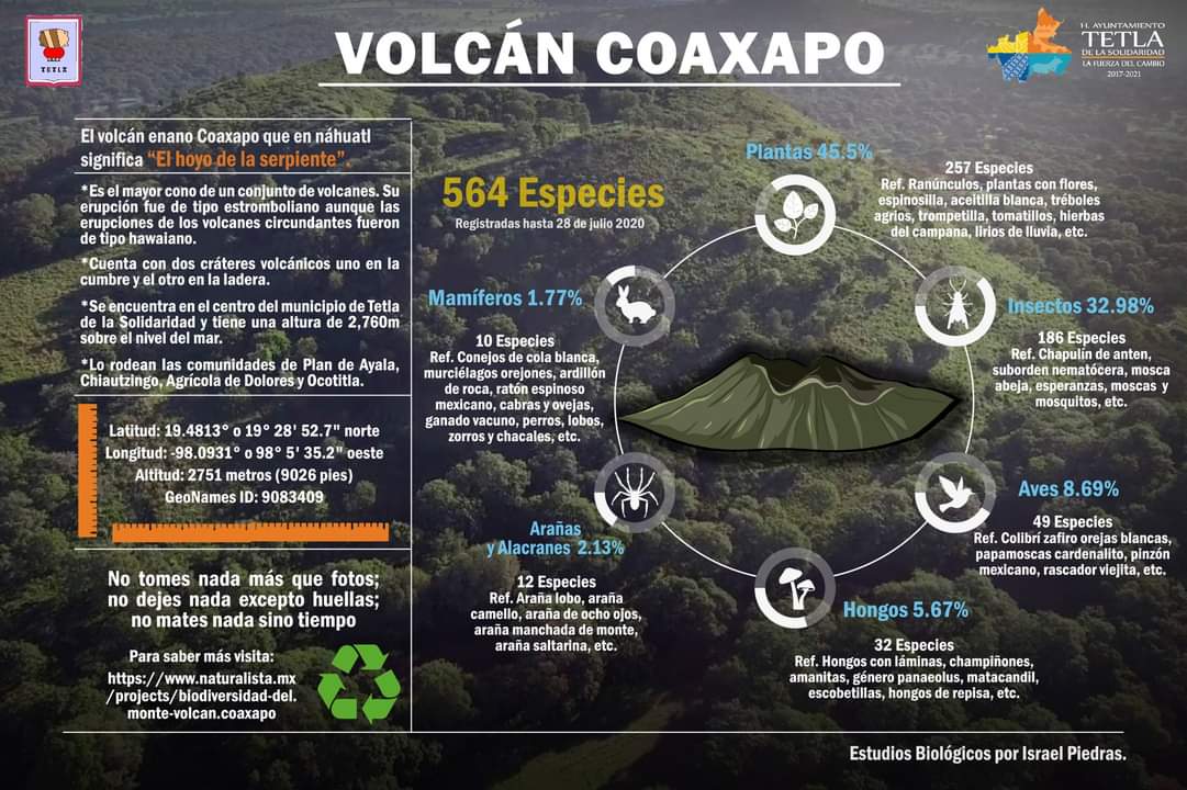 Conoce la  biodiversidad del  Volcán Coaxapo en Tetla
