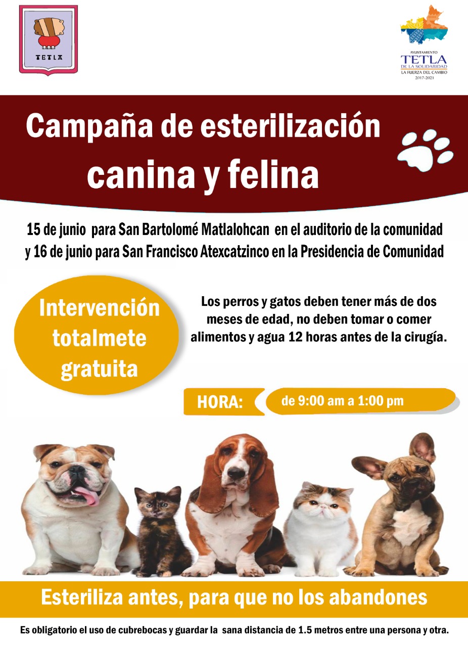 Campaña de esterilización canina y felina en Tetla