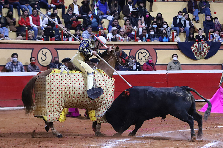 TOROS