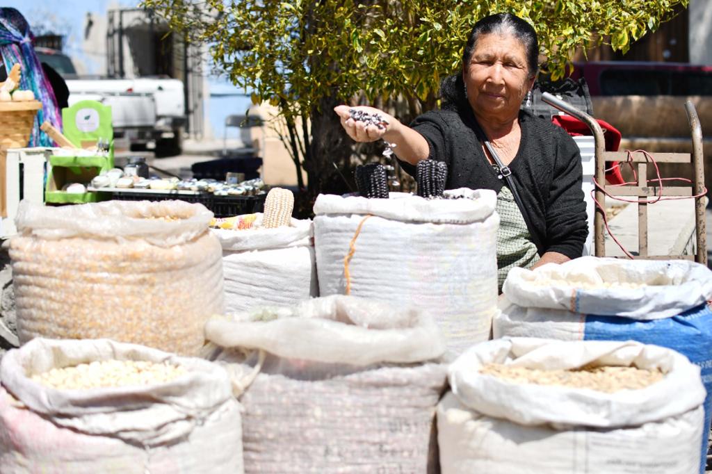Realizan primer tianguis de semilla en Huamantla