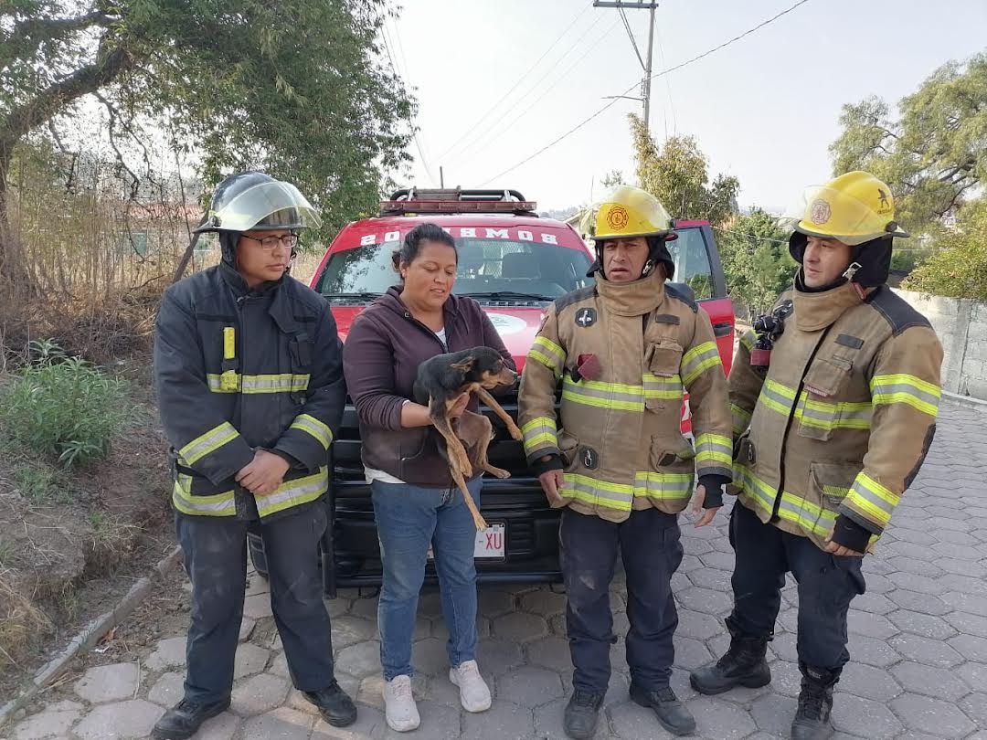 Rescatan bomberos a mascota que cayó en un pozo