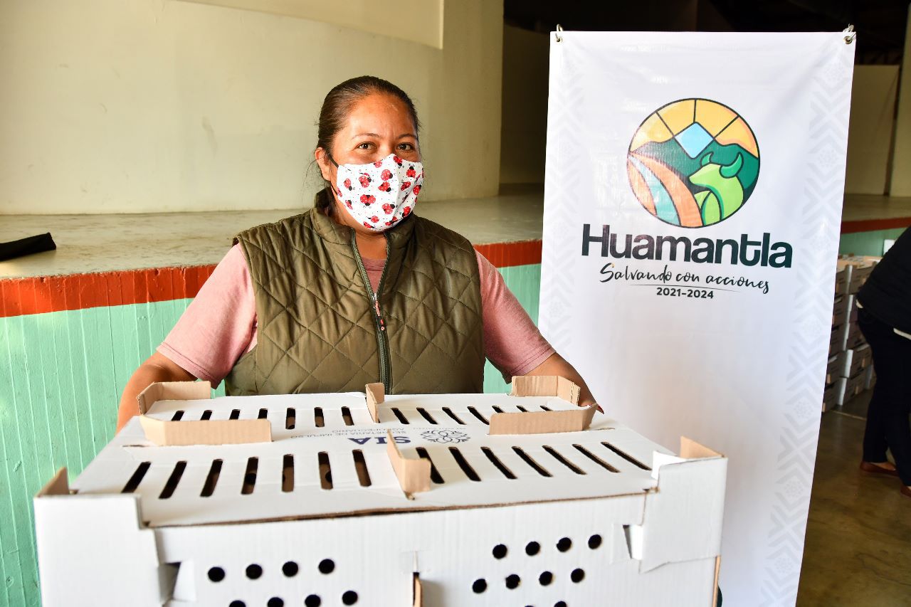 Familias de Huamantla fortalecen su alimentación con aves de traspatio