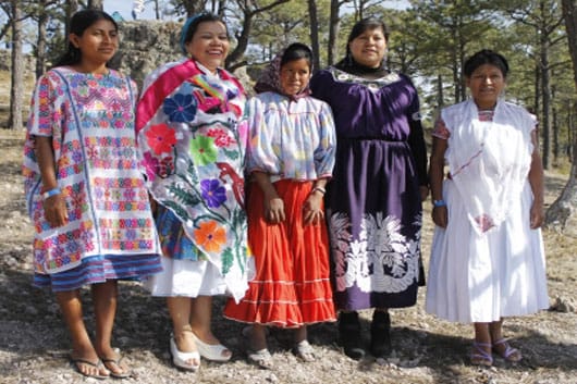 Niñ@s e indígenas, los más vulnerados: REDIM