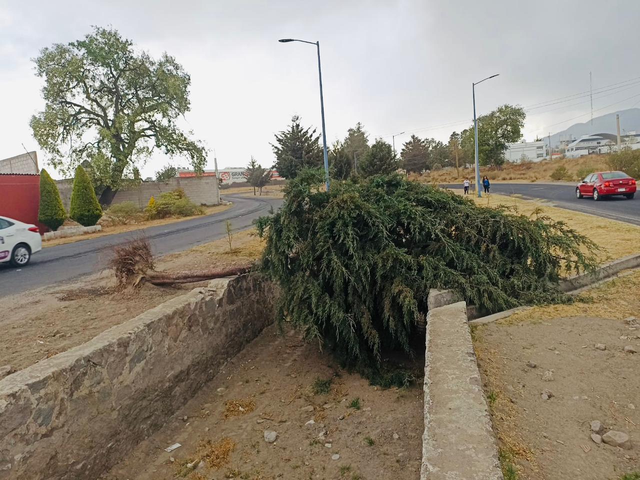 Atienden afectaciones en Huamantla por fuertes vientos
