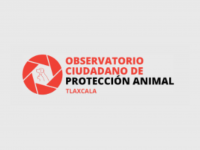 Evidencia OCPA mínimas acciones en pro de los animales por parte de dependencias de gobierno