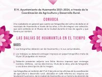 Invitan a participar en la exposición “Las Dalias de Huamantla en el Tiempo”