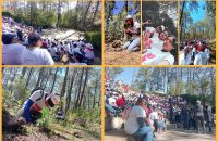Colabora UATx en reforestación del Parque Nacional La Malinche