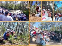 Colabora UATx en reforestación del Parque Nacional La Malinche