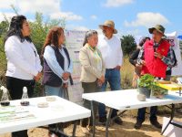 Trabaja la UATx en rehabilitación ecológica de Tlaxcala