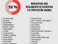 53% de los ayuntamientos cuentan con reglamento de bienestar animal: OCPA