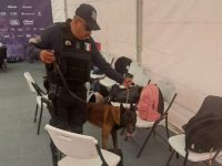 Supervisa Dirección de Seguridad Pública la Plaza de Toros “La Taurina”