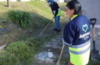 Comienza la limpieza del Panteón Municipal de Apizaco