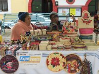 Bazar Joven y Expo Venta de Economía Social: una oportunidad de impulso para el sector económico