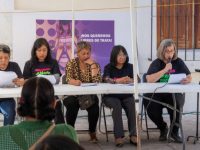 Notifican ONGs cifras sobre violencia contra las mujeres en Tlaxcala