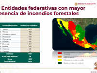 Durante 2023 ocurrieron 166 incendios forestales en Tlaxcala: CONAFOR