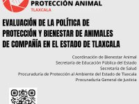 Organización hispanoamericana junto al OCPA evalúa la Protección Animal en Tlaxcala