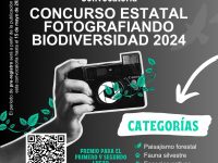 Convoca SMA a concurso estatal “Fotografiando la Biodiversidad 2024”