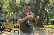 Organiza SMA avistamiento de aves migratorias en el ANP “La Cueva”