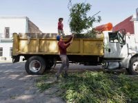 Inicia labores de poda y mantenimiento en el Boulevard Revolución