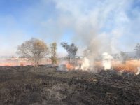 Protección Civil del Ayuntamiento de Tlaxcala atienden incendios de pastizales en Tlaxcala