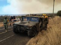 ¡Tenemos guerreros defendiendo nuestros bosques!