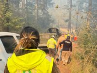 Tlaxcala de Xicohténcatl se solidariza con Atlzayanca ante incendio forestal
