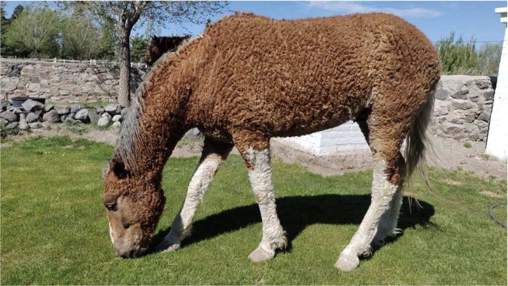 Foto por Andrea Sede para National Geographic