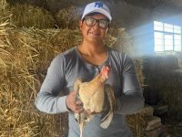 Gobierno de Blanca Angulo previene a la población contra enfermedades aviares