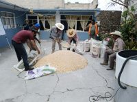 SIA acerca a municipios talleres para mejorar la alimentación del ganado
