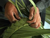 Convoca CAT al XIII Concurso Estatal de Fibras Vegetales 2025