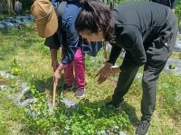 Mujeres que buscan empoderamiento económico inician curso “Huertos Familiares” con respaldo del Ayto. de Tlaxcala