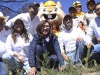 Inicia gobernadora jornada “Reforestemos Juntos Atltzayanca”