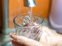 Se suma gobierno de ASG a estrategia nacional con taller de sensibilización en favor del agua
