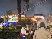 Protección Civil de Chiautempan atiende reporte de árbol caído por fuerte lluvia en Parque Hidalgo