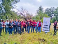 En jornada de reforestación en Chiautempan, son plantados más de 400 árboles de piñón