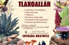 El JET-UATx promueve, comparte y revitaliza los conocimientos de comunidades originarias de Tlaxcala