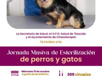 Chiautempan será sede de Jornada Nacional de Esterilización para Perros y Gatos