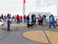 Gobierno de ASG fortalece la salud pública al sumarse a la Jornada Nacional de Vacunación Antirrábica 2025