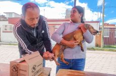 Ayto. de Tlaxcala y SESA concluyen con éxito jornada sabatina de vacunación antirrábica