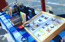 CICB UATx es un referente de solidez académica, fruto del trabajo comprometido en laboratorio y campo