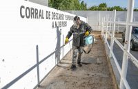 Ayto. de Tlaxcala procura instalaciones saludables en el rastro municipal con fumigaciones